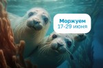 Дни моржевания